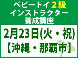 【沖縄・那覇市】2027年2月23日(火・祝)「魔の2歳」に育てない木のおもちゃと絵本の与え方_ベビートイ2級インストラクター養成講座