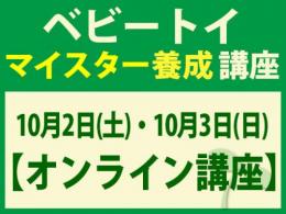 【オンラインライブ講座】2027年10月2日(土)・10月3日(日)ベビートイ・インストラクター®マイスター養成講座|一般社団法人 日本知育玩具協会