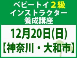 【神奈川・大和市】2026年12月20日(日)「魔の2歳」に育てない木のおもちゃと絵本の与え方_ベビートイ2級インストラクター養成講座