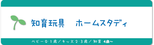 知育玩具インストラクター2級養成講座