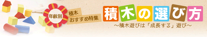 積木の選び方　年齢別積木おすすめ特集