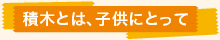 積木 つみきとは