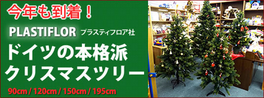 詳細はこちら